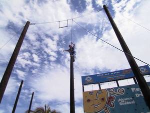 Henry almost to the top of the power pole from a wider perspective