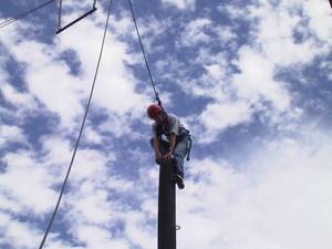 Henry almost to the top of the power pole